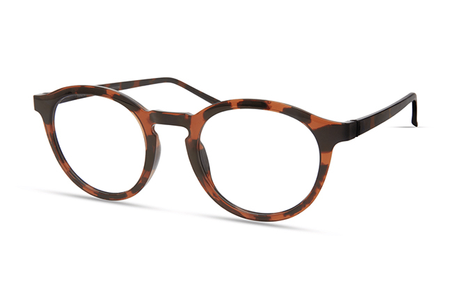 Il modello “7055” (nella colorazione “BROWN TORT”) degli occhiali Modo, appartenente alla collezione “R 1000 + TITANIUM”